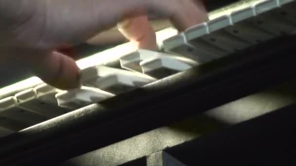 Hände Pianist, der die Klaviertasten spielt 5 — Stockvideo