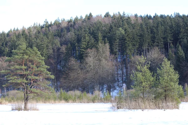 Landschaft — Stok fotoğraf