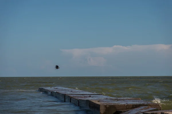 Azovska sjön. Ukraina. Donetsk-regionen. Staden Mariupol. — Stockfoto