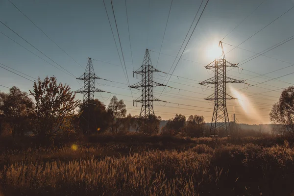 Power lines. Field — Stock Photo, Image