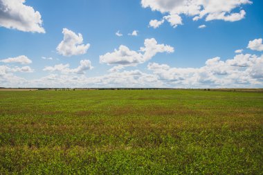 Alan. Mavi gökyüzü.