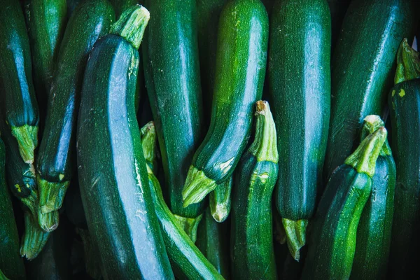 Zucchini. Abobrinha de bancada . — Fotografia de Stock