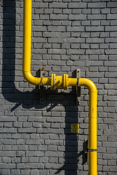 Žlutá trumpeta. Cihlová zeď. — Stock fotografie