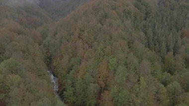Şelale. Çam ormanındaki şelale. Hava görünümü.