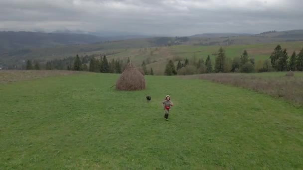Yolculuk Bir Kız Bir Köpekle Dağlık Bir Alanda Koşuyor Hava — Stok video