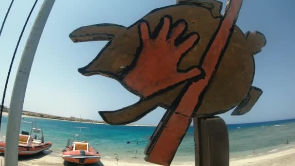 Podpis Zákaz Dotýkání Mořských Želv Egypt Rudé Moře — Stock video