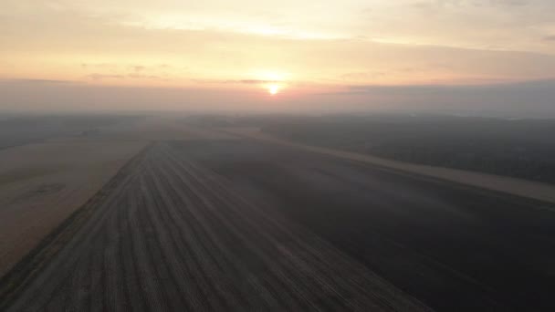 Ladang Tanpa Tanaman Tampilan Udara — Stok Video
