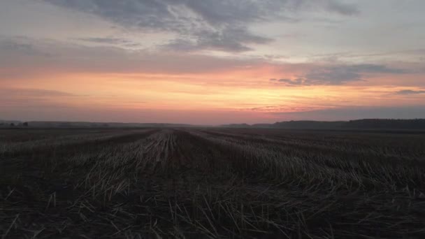 一片没有庄稼的土地 空中景观 — 图库视频影像