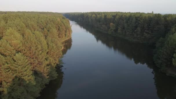 Rivière Pinède Vue Aérienne — Video