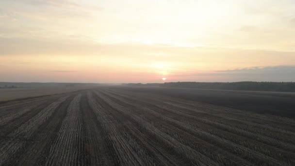 Een Veld Zonder Gewassen Luchtzicht — Stockvideo