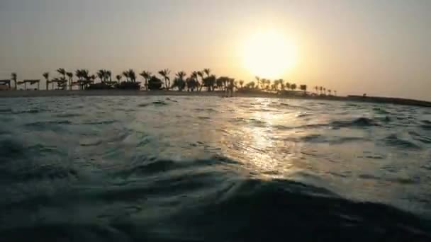 Morze Morze Przed Zachodem Słońca Egipt Morze Czerwone — Wideo stockowe