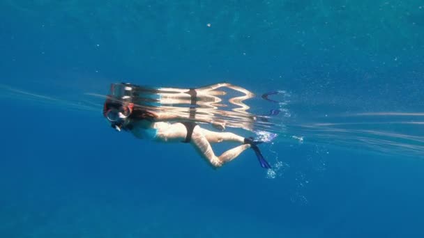 Mar Uma Mulher Com Uma Máscara Subaquática Snorkel Nada Mar — Vídeo de Stock