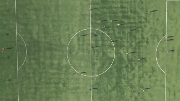 足球场球员们玩耍的足球场 空中景观 — 图库视频影像