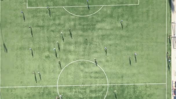 サッカー場だ 選手がプレーするサッカー場 空中風景 — ストック動画