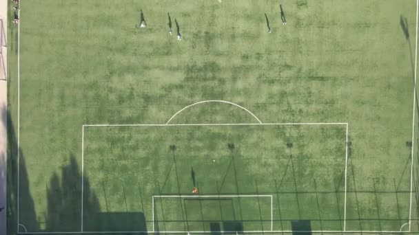 Campo Calcio Campo Calcio Dove Giocano Giocatori Vista Aerea — Video Stock