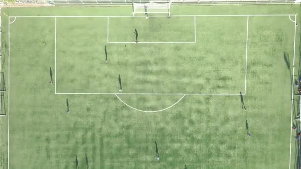 Fußballplatz Der Fußballplatz Auf Dem Die Spieler Spielen Luftaufnahme — Stockvideo