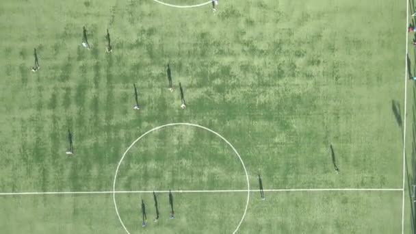 Campo Fútbol Campo Fútbol Donde Juegan Los Jugadores Vista Aérea — Vídeo de stock