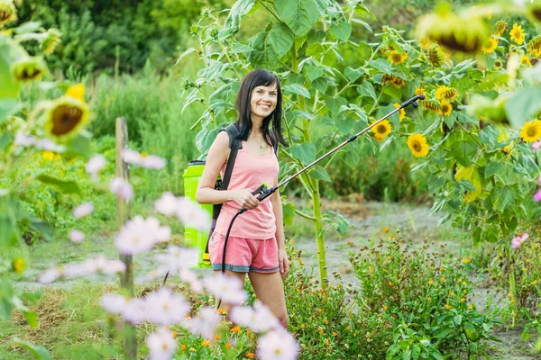 Pulvérisateur Cultures Une Femme Pulvérise Récolte Insectes — Photo