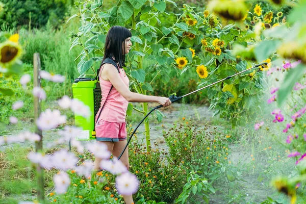 Crop sprayer. A woman sprays the crop from insects.