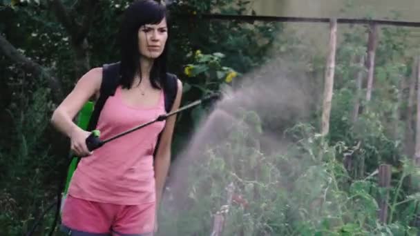 作物喷雾器 女人用昆虫喷洒庄稼 — 图库视频影像