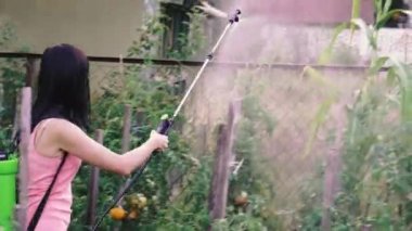 Ekin püskürtücü. Bir kadın böceklerin mahsulünü püskürtür..