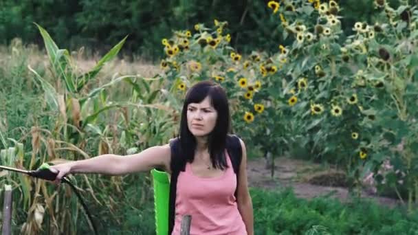 Plantenspuit Een Vrouw Spuit Het Gewas Van Insecten — Stockvideo