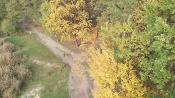掉下去一个男人在秋天的公园里跑步 空中景观 — 图库视频影像
