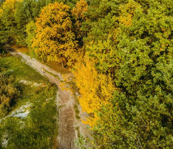 Podzim Podzimní Žlutý Park Letecký Pohled — Stock fotografie