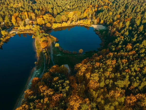 Podzim Podzimní Žlutý Park Letecký Pohled — Stock fotografie