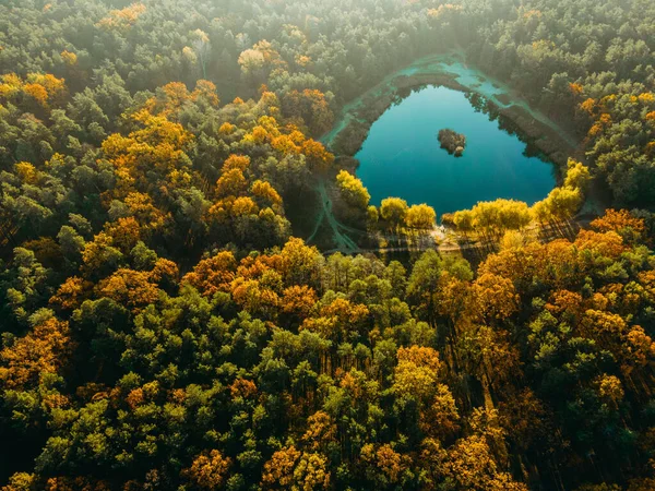 Podzim Podzimní Žlutý Park Letecký Pohled — Stock fotografie