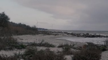 Deniz kıyısı. Deniz kıyısı ve yel değirmenleri.