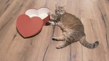 Hediye kutusu. Kalp şeklinde bir hediye kutusu..