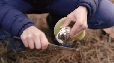 Mantar toplayın. Kadın yerden mantarı temizliyor..