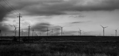 Yel değirmeni. Yel değirmenleriyle dolu bir tarla.