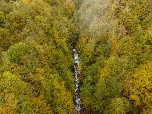 Vodopád Vodopád Borovém Lese Letecký Pohled — Stock fotografie