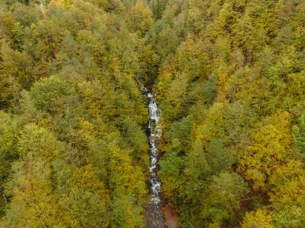 Vodopád Vodopád Borovém Lese Letecký Pohled — Stock fotografie