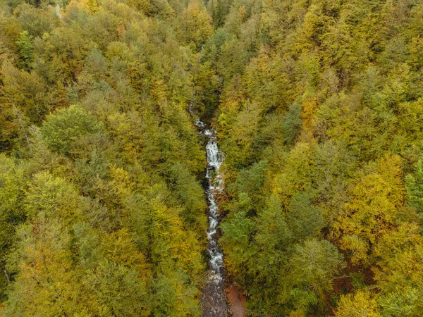 Cascada Cascada Bosque Pinos Vista Aérea —  Fotos de Stock