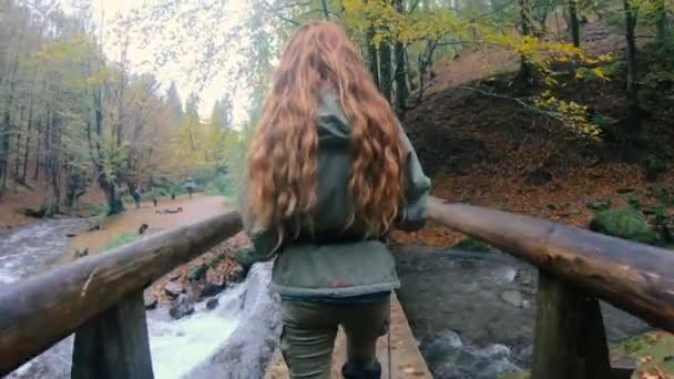 Yürüyüş Kız Tahta Bir Köprüde Yürüyor — Stok video