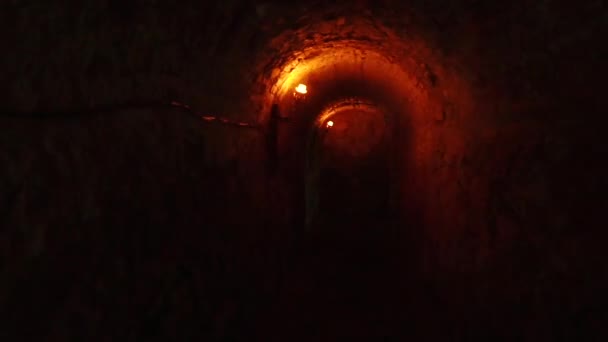 Dark Corridor Dark Gloomy Corridor — Stock Video