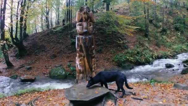 Wooden Sculpture National Wooden Sculpture Carpathians Ukraine — Stock Video