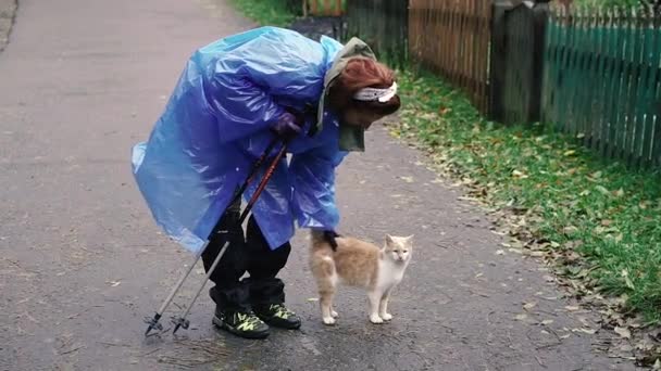 レインコート レインコートを着た女の子がジンジャー猫を撫でている — ストック動画