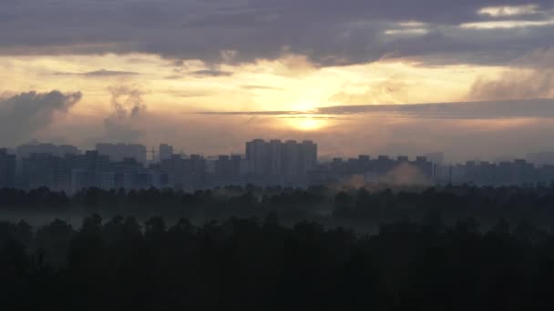 Krajina Západ Slunce Pozadí Lesa Města Ukrajina Kyjev — Stock video