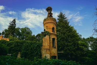 Leylek yuvası. Leylek kale kulelerinin üzerine bir yuva inşa etti..