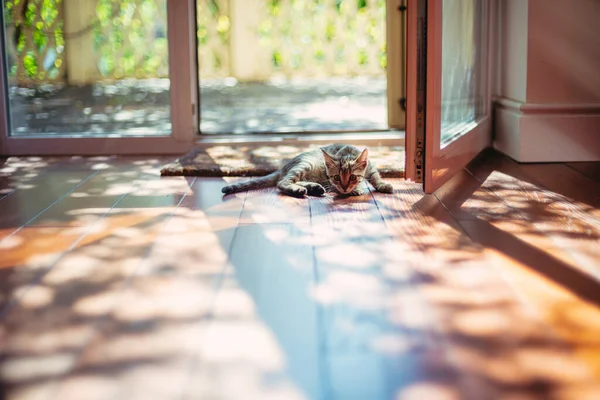 Holzboden Der Holzboden Raum Wird Von Den Sonnenstrahlen Erhellt — Stockfoto