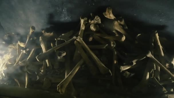 人类的骨头安葬后遗骨 — 图库视频影像