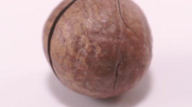 Macadamia. Kabuk Macadamia Fındığı.