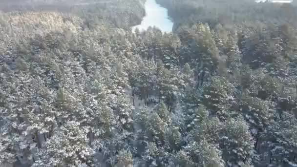 Sungai Sungai Beku Karena Musim Dingin Yang Dingin Tampilan Udara — Stok Video