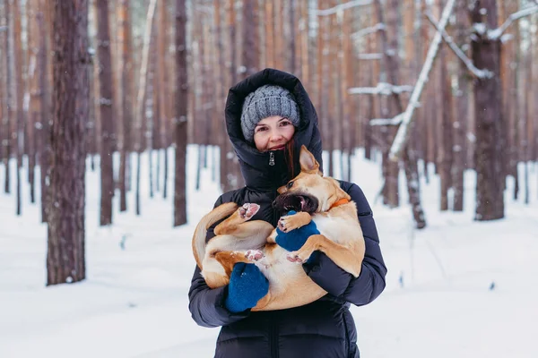 セルフィー 彼女の手に犬と冬のジャケットの女性 — ストック写真