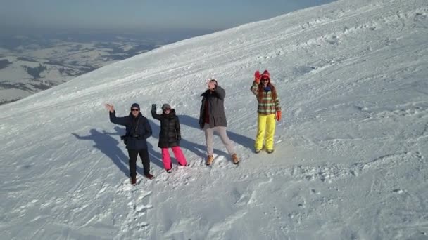 Gesto Della Mano Gruppo Turisti Mostra Gesto Addio Veduta Aerea — Video Stock