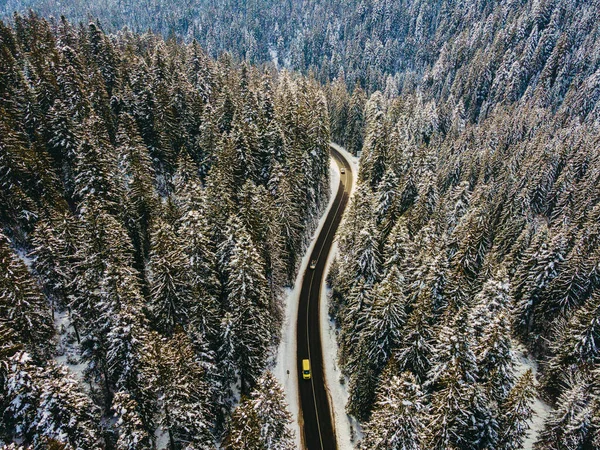 Autobahn Die Straße Führt Durch Einen Kiefernwald Luftaufnahme — Stockfoto